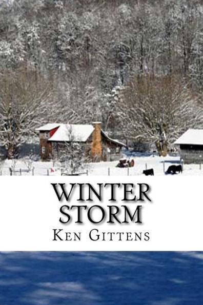 Winter Storm - 9781508061403
