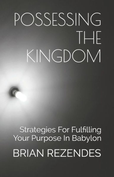 Possessing The Kingdom: Strategies For Fulfilling Your Purpose In Babylon
