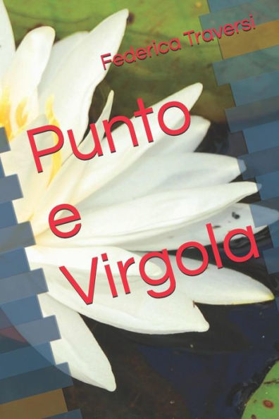 Punto E Virgola (Italian Edition)