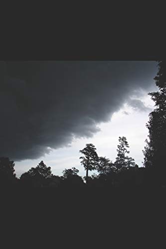 Madness And Deception