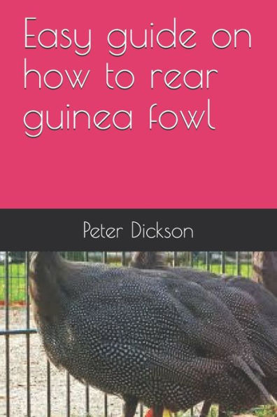 Easy Guide On How To Rear Guinea Fowl