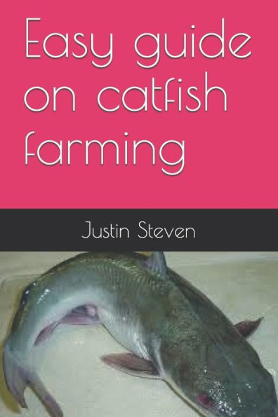 Easy Guide On Catfish Farming