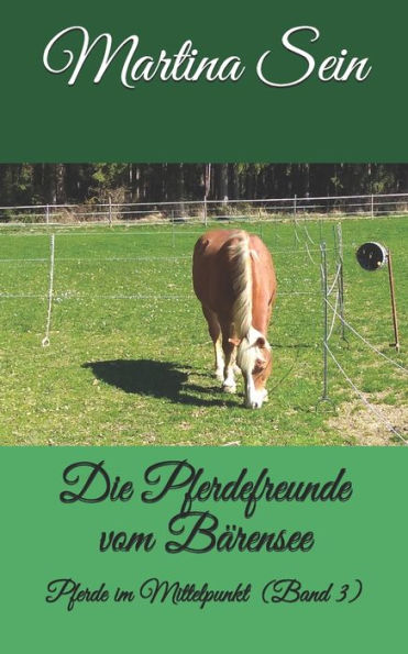 Die Pferdefreunde Vom Barensee: Pferde Im Mittelpunkt (German Edition)