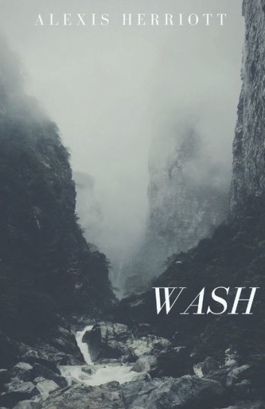 Wash (The Eccedentesiast Series)
