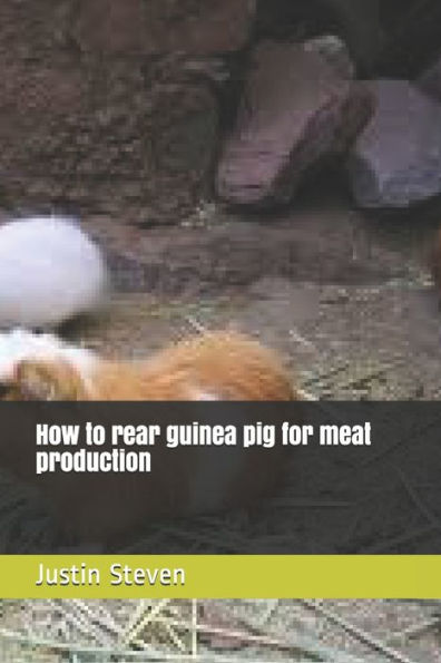 How To Rear Guinea Pig For Meat Production