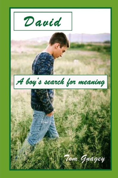 David: A Teenboy's Search For Meaning (David And T.J.)