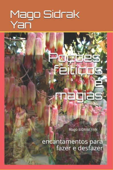 Poc?es, Feiticos E Magias: Encantamentos Para Fazer E Desfazer (Portuguese Edition)