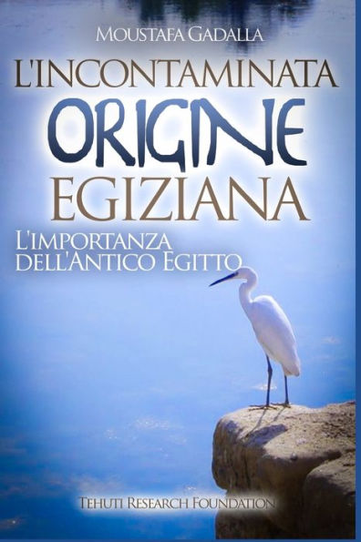 L'Incontaminata Origine Egiziana: L?Importanza Dell?Antico Egitto (Italian Edition)