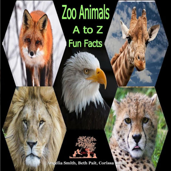 Zoo Animals: A To Z (Bright)