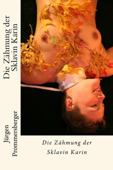 Die Zähmung Der Sklavin Karin (German Edition)