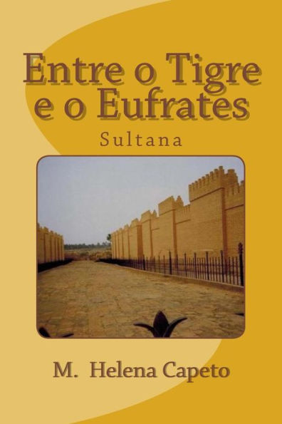 Entre O Tigre E O Eufrates: Sultana (Portuguese Edition)