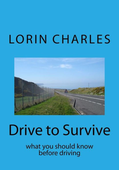Drive To Survive: What You Should Know Before Driving