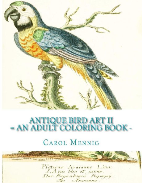 Antique Bird Art Ii - An Adult Coloring Book