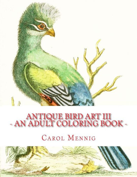 Antique Bird Art Iii - An Adult Coloring Book
