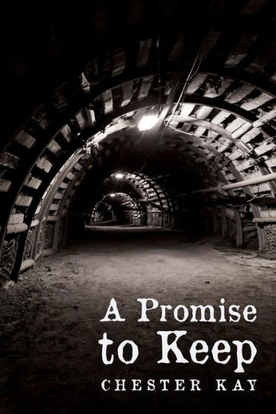 A Promise To Keep - 9781523358687