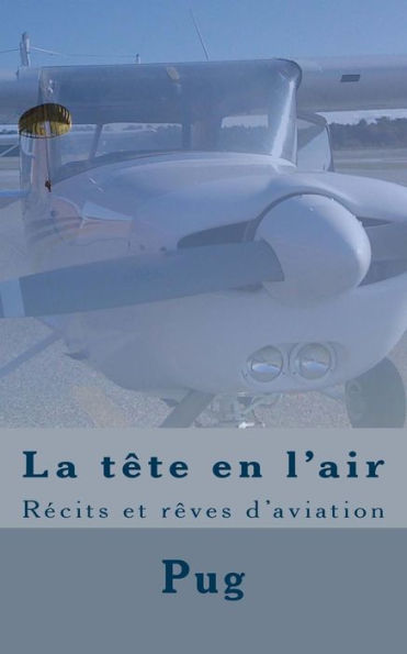 La Tête En L'Air: Récits Et Rêves D'Aviation (French Edition)