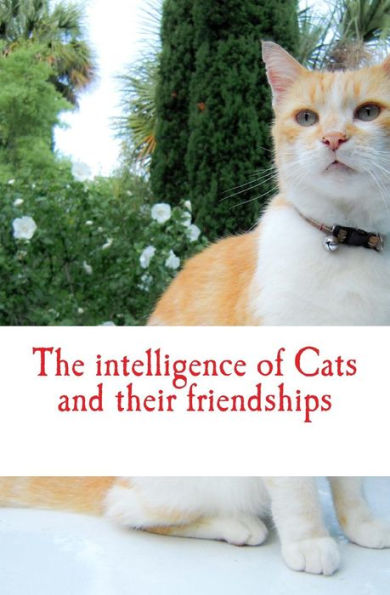 The Intelligence Of Cats And Their Friendships