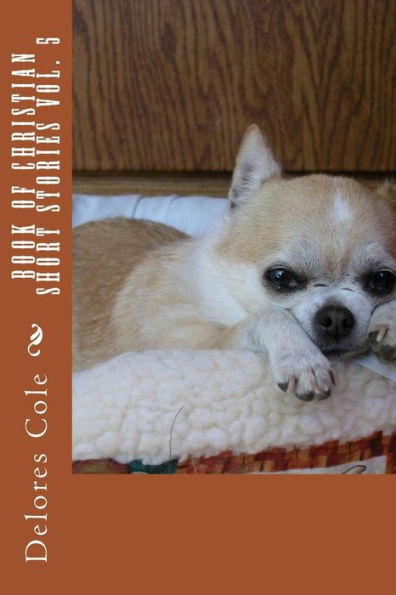 Book Of Christian Short Stories Vol. 5 (Bok Of Christian Short Stories)