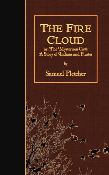 The Fire Cloud: Or, The Mysterious Cave: A Story Of Indians And Pirates