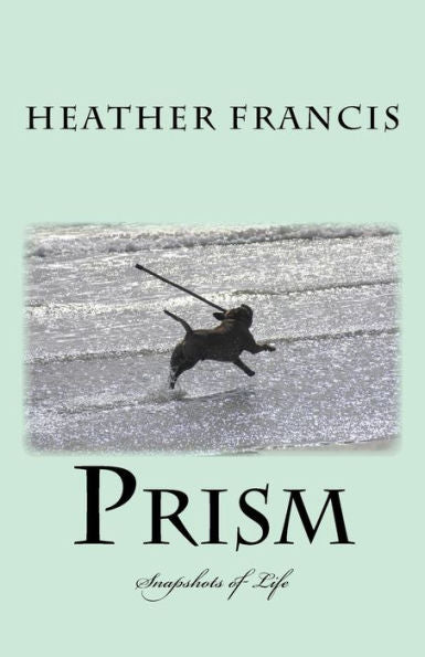 Prism: Snapshots Of Life