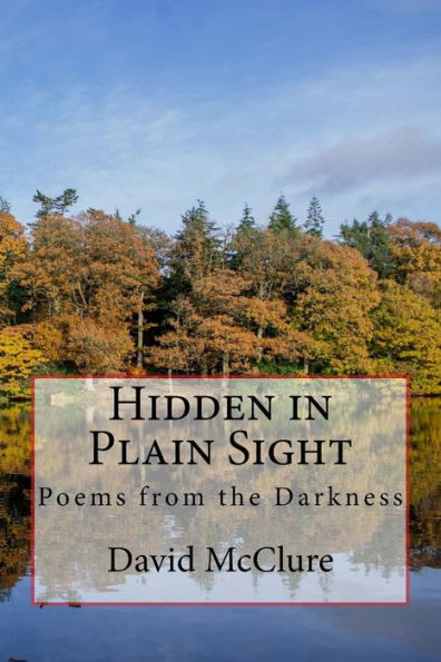 Hidden In Plain Sight: Poems From The Darkness