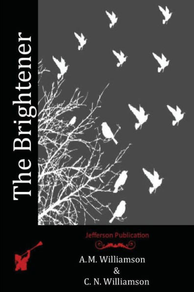 The Brightener - 9781523710508