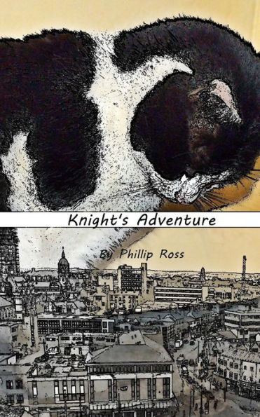 Knight's Adventure