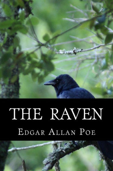 The Raven - 9781523831371