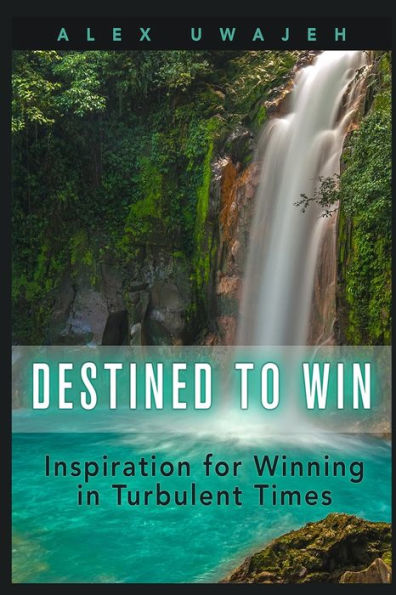 Destined To Win: Inspiration For Winning In Turbulent Times