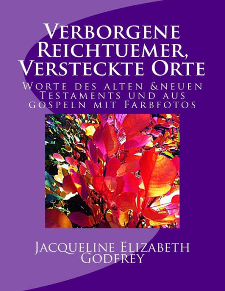 Verborgene Reichtuemer, Versteckte Orte: Worte Von Gospeln Und Des Alten Und Neuen Testamente Mit Farbfotos (German Edition)