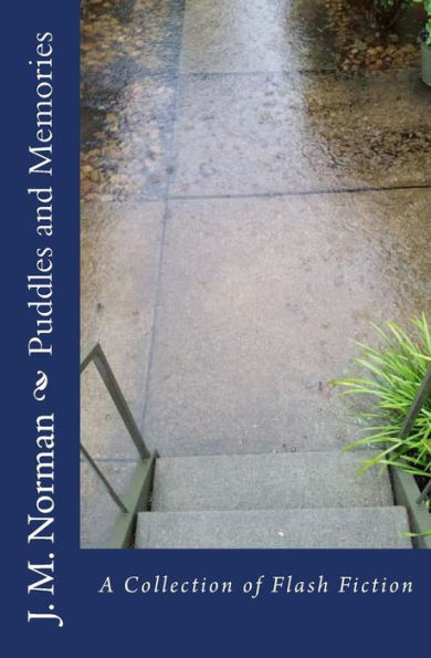 Puddles And Memories: A Collection Of Flash Fiction