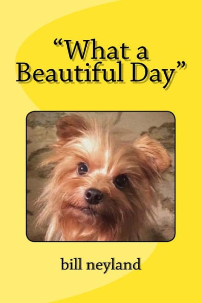 What A Beautiful Day