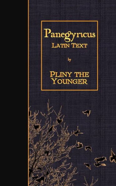 Panegyricus: Latin Text (Latin Edition)
