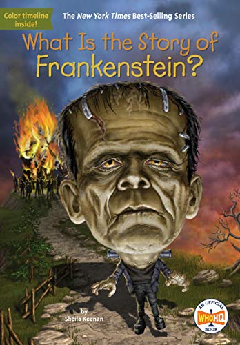 What Is The Story Of Frankenstein?