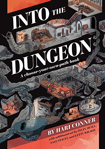 Into The Dungeon: A Choose-Your-Own-Path Book