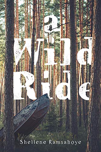 A Wild Ride - Paperback