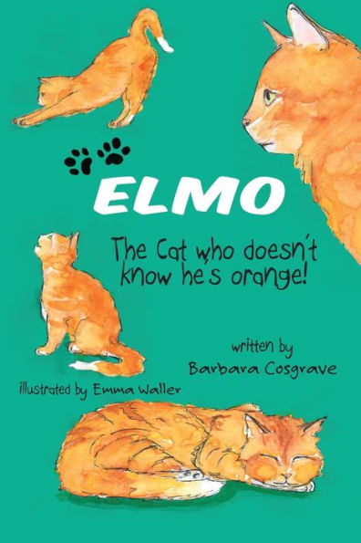 Elmo The Cat Who Doesn't Know He's Orange!