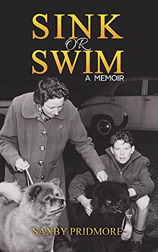 Sink Or Swim - 9781528910811