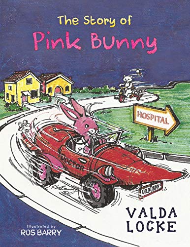 The Story Of Pink Bunny