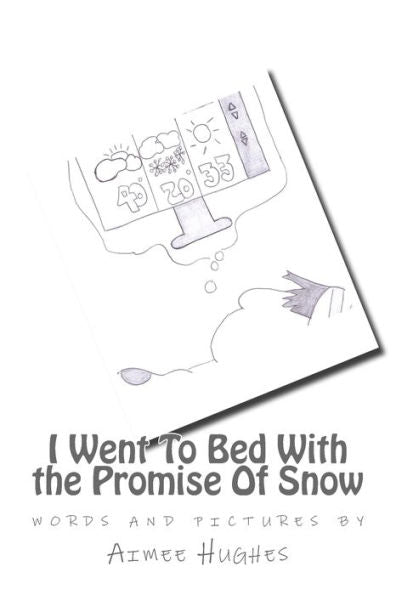 I Went To Bed With The Promise Of Snow