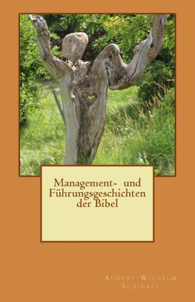 Management- Und Fuehrungsgeschichten Der Bibel (German Edition)