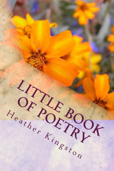 Little Book Of Poetry