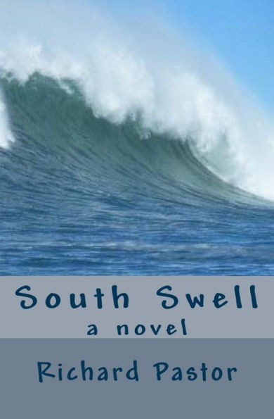 South Swell: A Novel