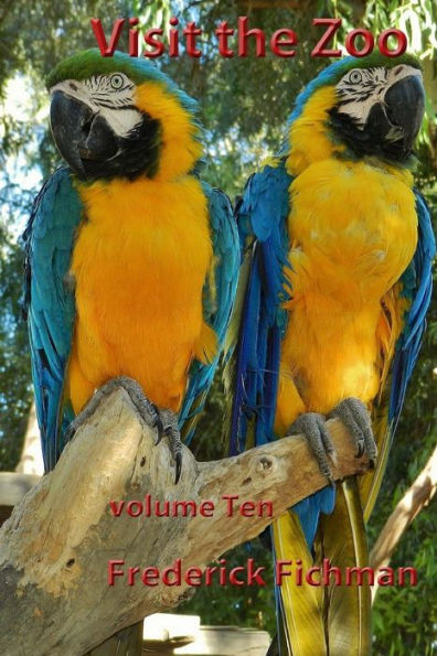 Visit The Zoo: Volume Ten