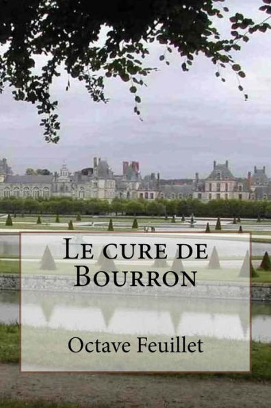 Le Cure De Bourron (French Edition)