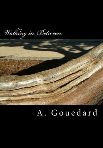 Walking In Between: A Collection Of Poetry