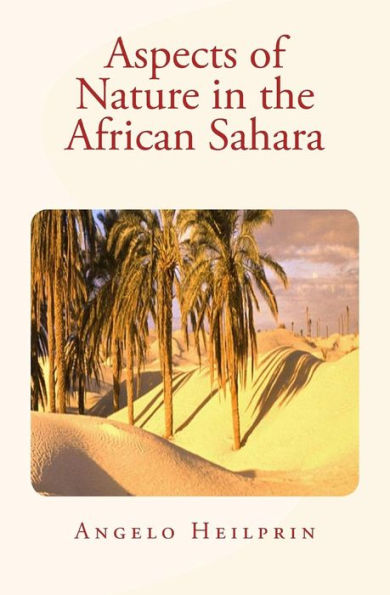 Aspects Of Nature In The African Sahara