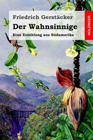 Der Wahnsinnige: Eine Erzahlung Aus S?damerika (German Edition)