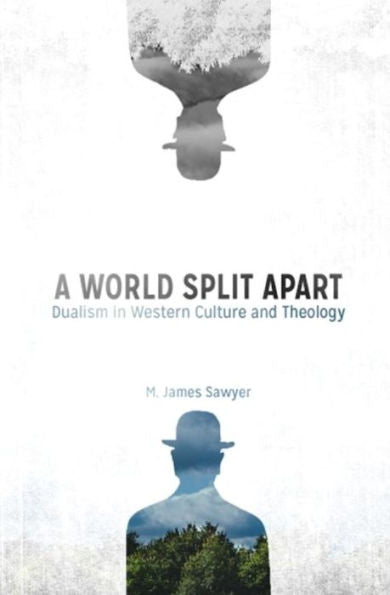 A World Split Apart: Dualism In Western Culture And Theology