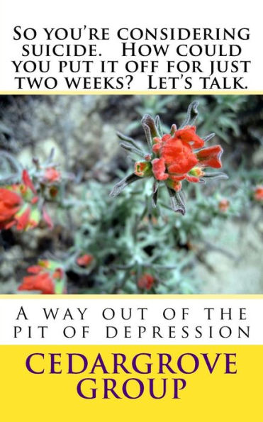 So You'Re Considering Suicide. How Could You Put It Off For Just Two Weeks? Let's Talk.